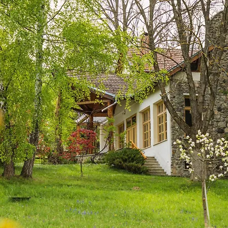 Villa Alba By Akasha Retreat Bran  Exterior photo