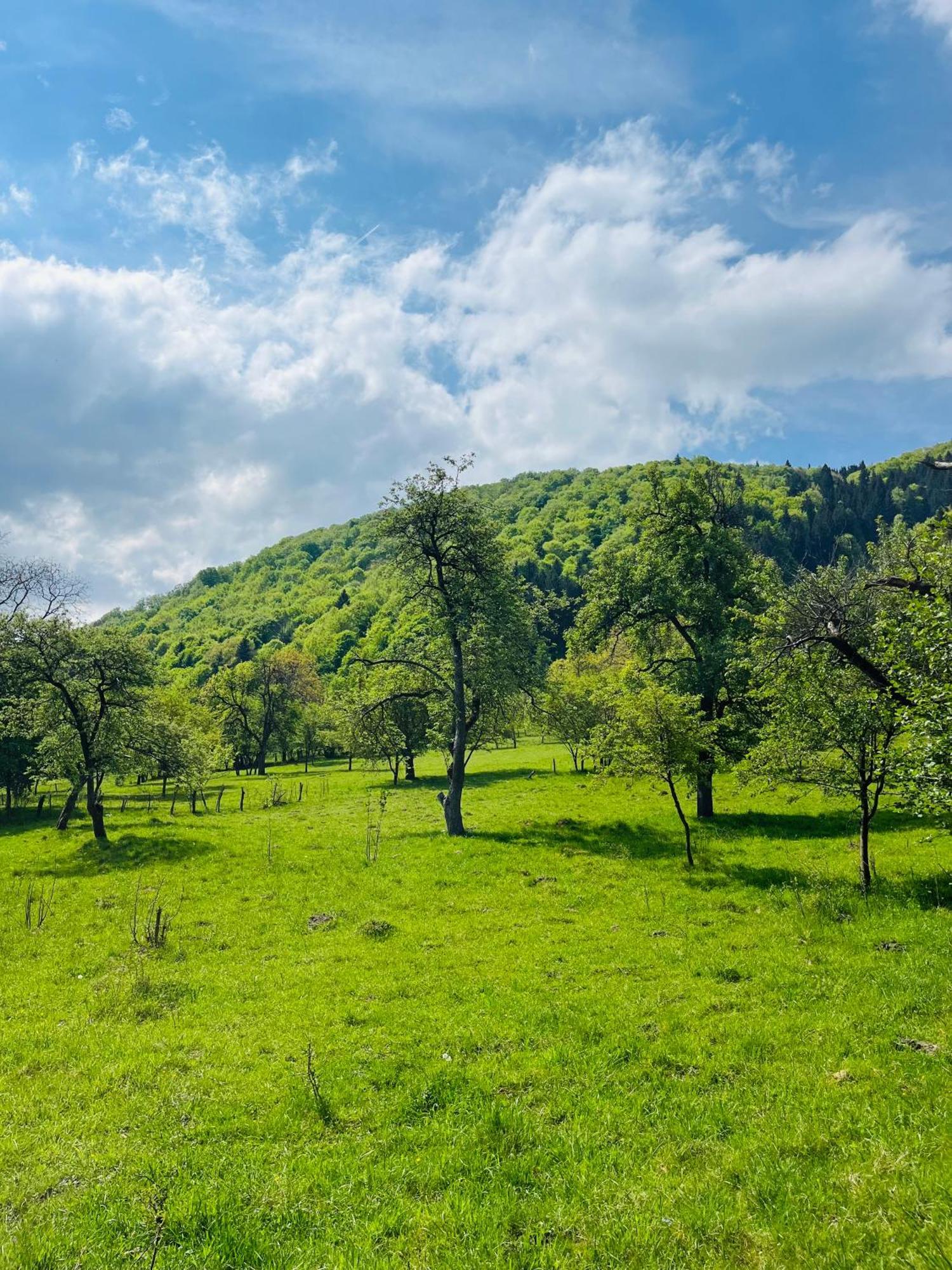 Cabană Alba By Akasha Retreat