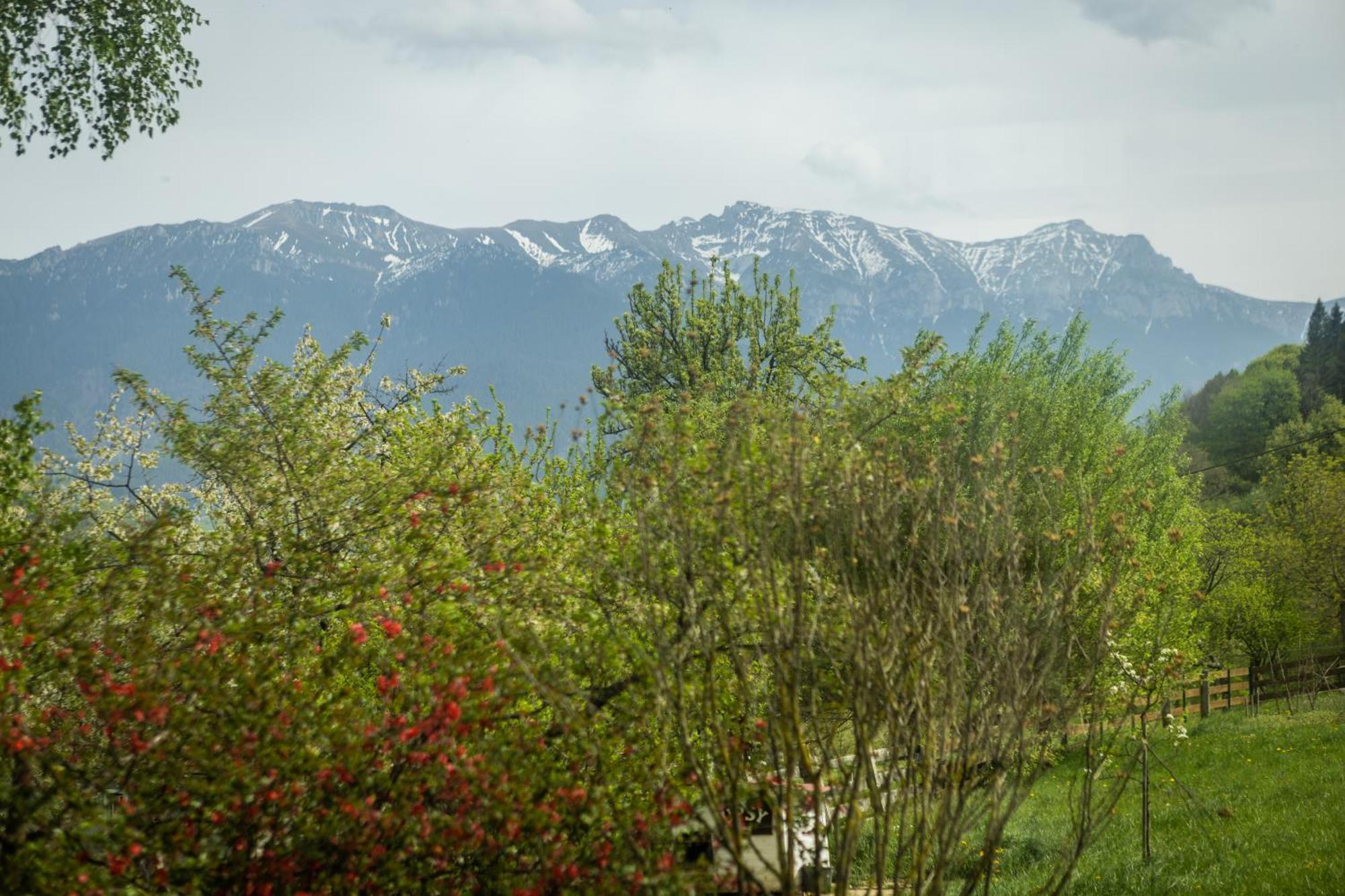 Lodge Alba By Akasha Retreat