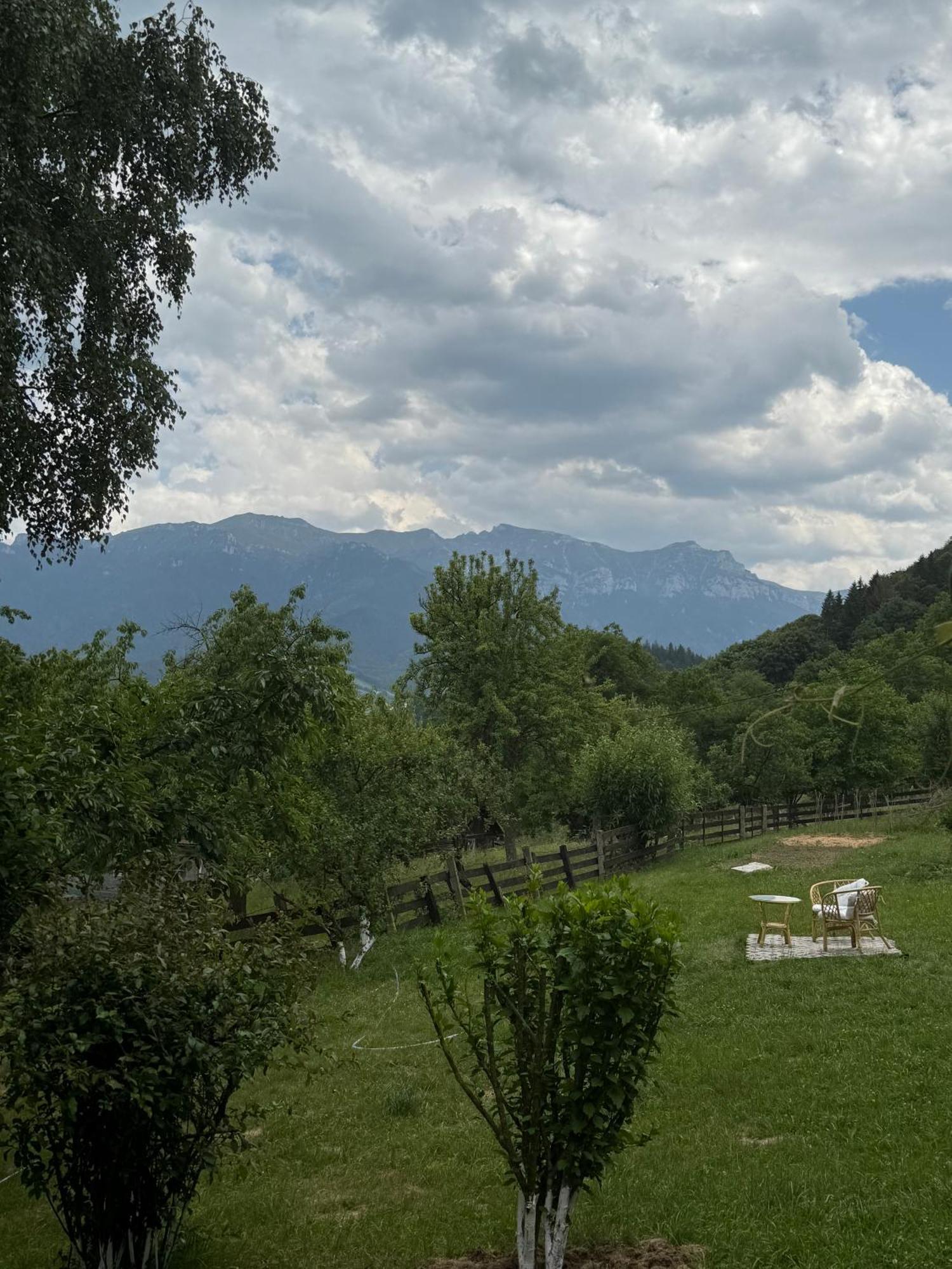 Alba By Akasha Retreat Cabană Bran (Brasov)